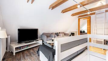 TV, fireplace, books, stereo