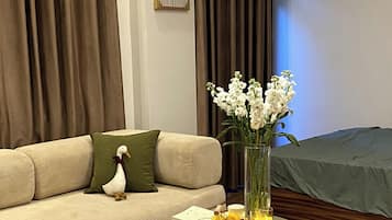 Desk, blackout curtains, soundproofing, free WiFi