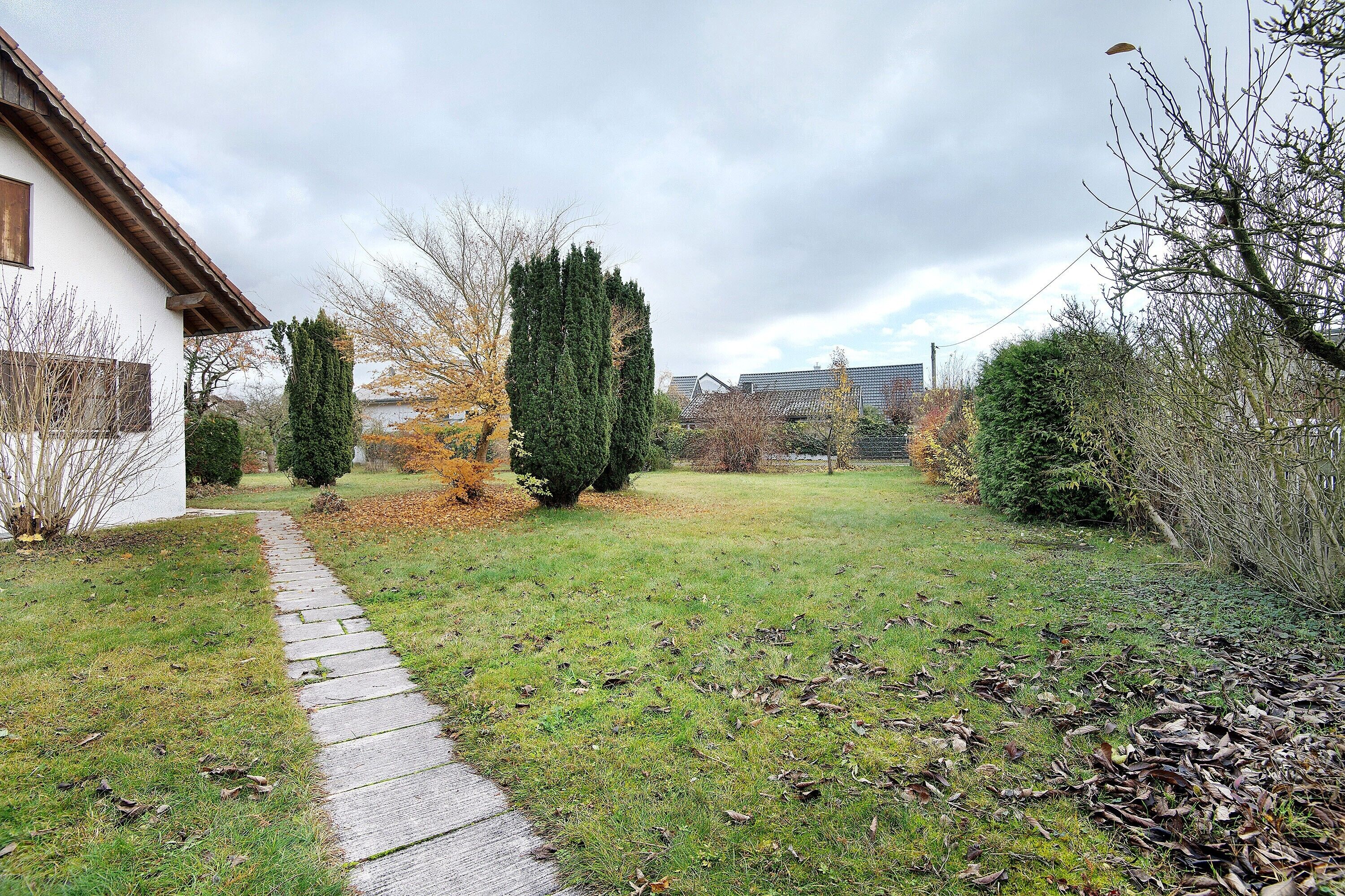 A residential property with a paved pathway, a lawn, and a variety of trees and shrubs.