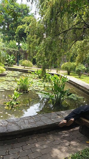 A garden with a pond, stone pathway, and a bench. - FSHOME (Ho Chi Minh City)