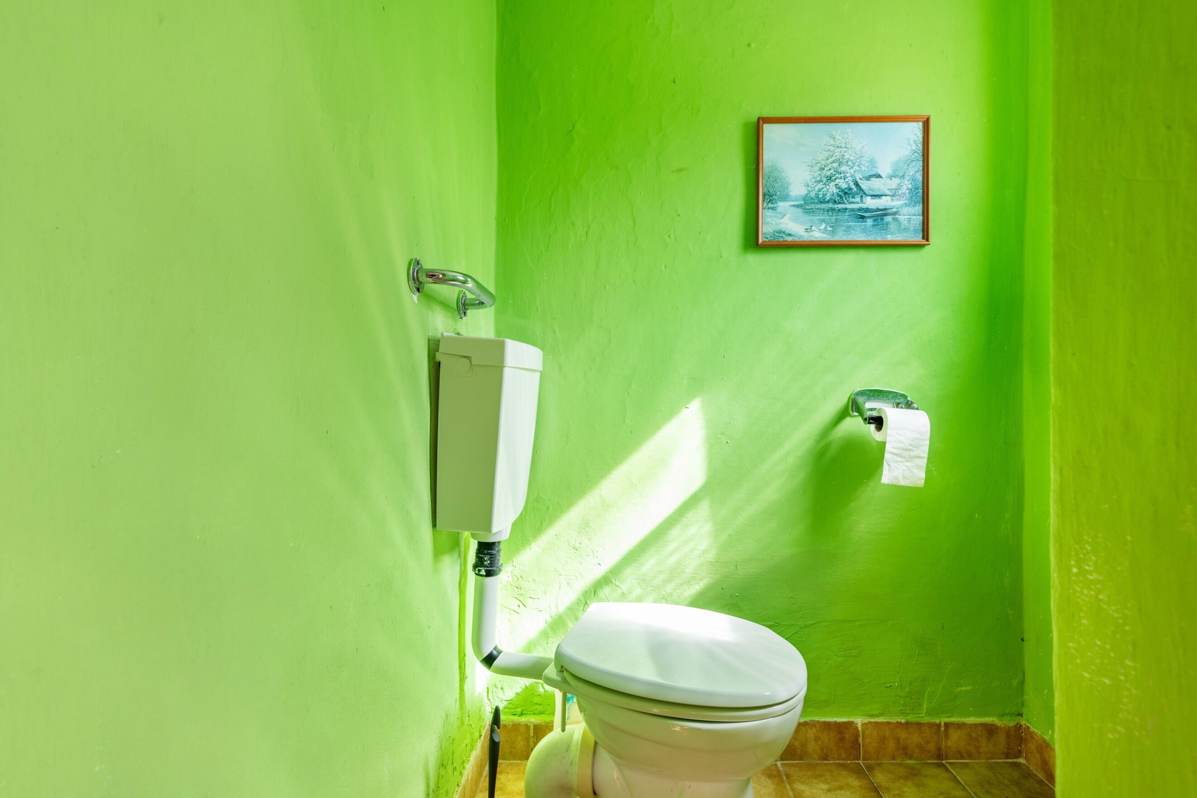Et badeværelse med toilet, toiletpapirholder på væggen og et billede i ramme.