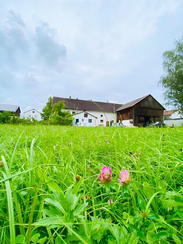 Terrain de l’hébergement 