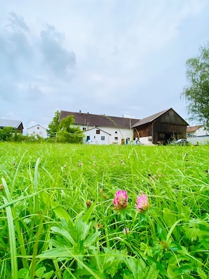 Área da propriedade