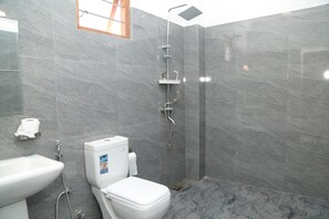 Shower, towels, toilet paper