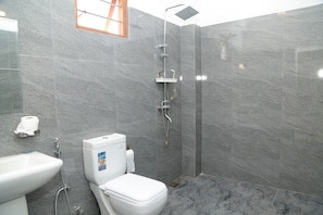 Shower, towels, toilet paper