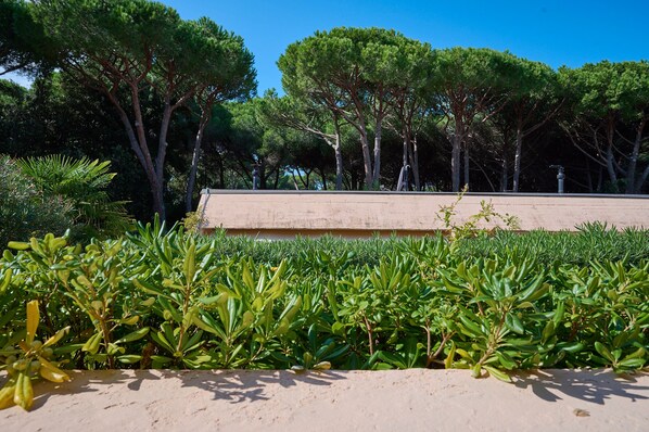 Áreas de la propiedad