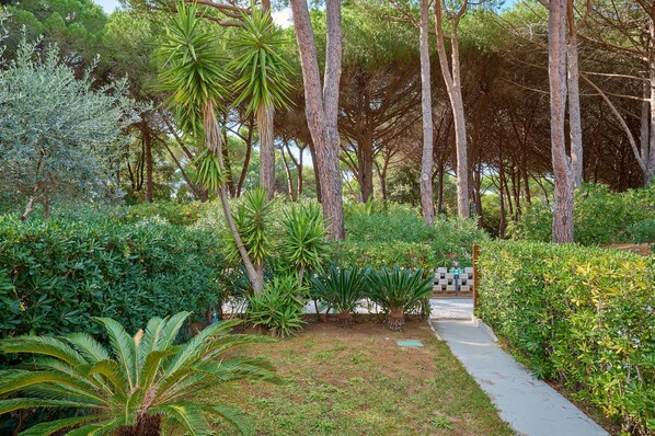 Terrain de l’hébergement 