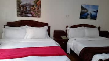 Twin Room, City View | Desk, laptop workspace, iron/ironing board, free WiFi
