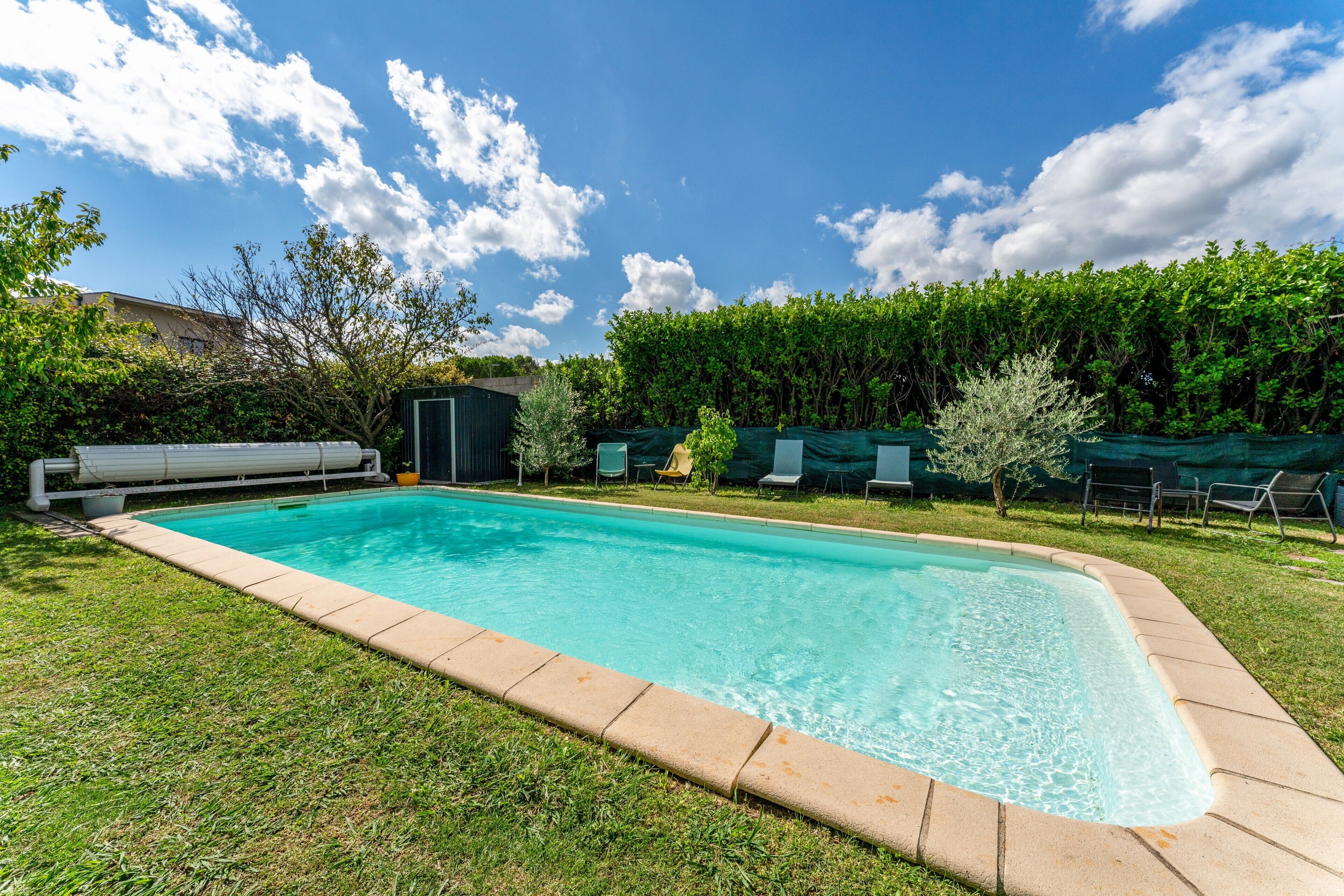Una piscina rectangular con borde de azulejos, rodeada de césped y un seto.