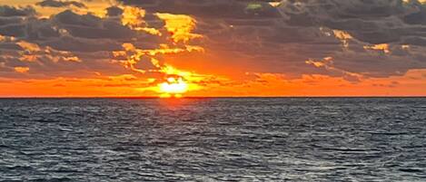 Sun-loungers, beach towels