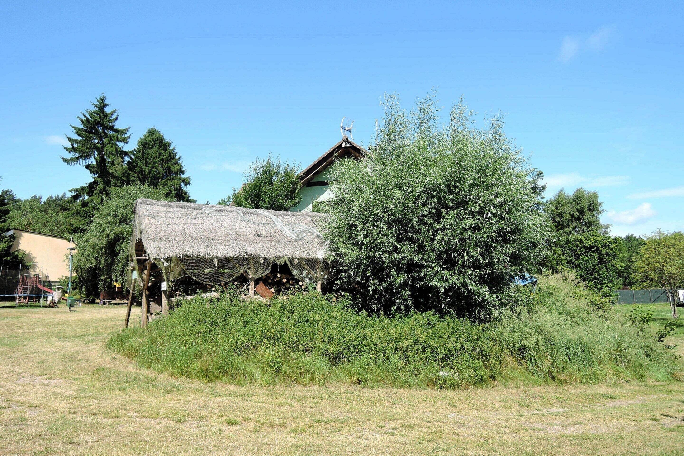 A rustic house with a thatched roof, surrounded by dense greenery and a clear blue sky.