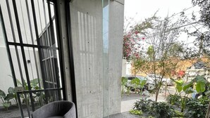 A modern interior with a glass door leading to a balcony, a black chair, and a view of a garden with plants and a tree.