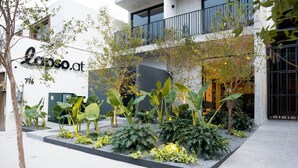 A modern building with a sign reading 'Lasso.at' and a landscaped garden area with various plants.