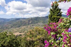 Un paysage montagneux, avec une végétation luxuriante et des fleurs violettes au premier plan.