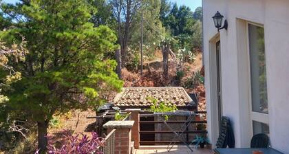 Room 'Salina' with shared terrace, shared garden and air conditioning