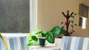Una sala moderna con un sofá a rayas, una planta en maceta y un ventanal.