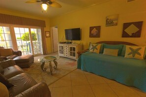 TV connectée, lecteur de DVD, livres