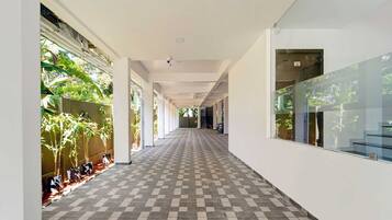 House | Property grounds