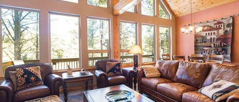 Smart TV, fireplace, books, computer monitors