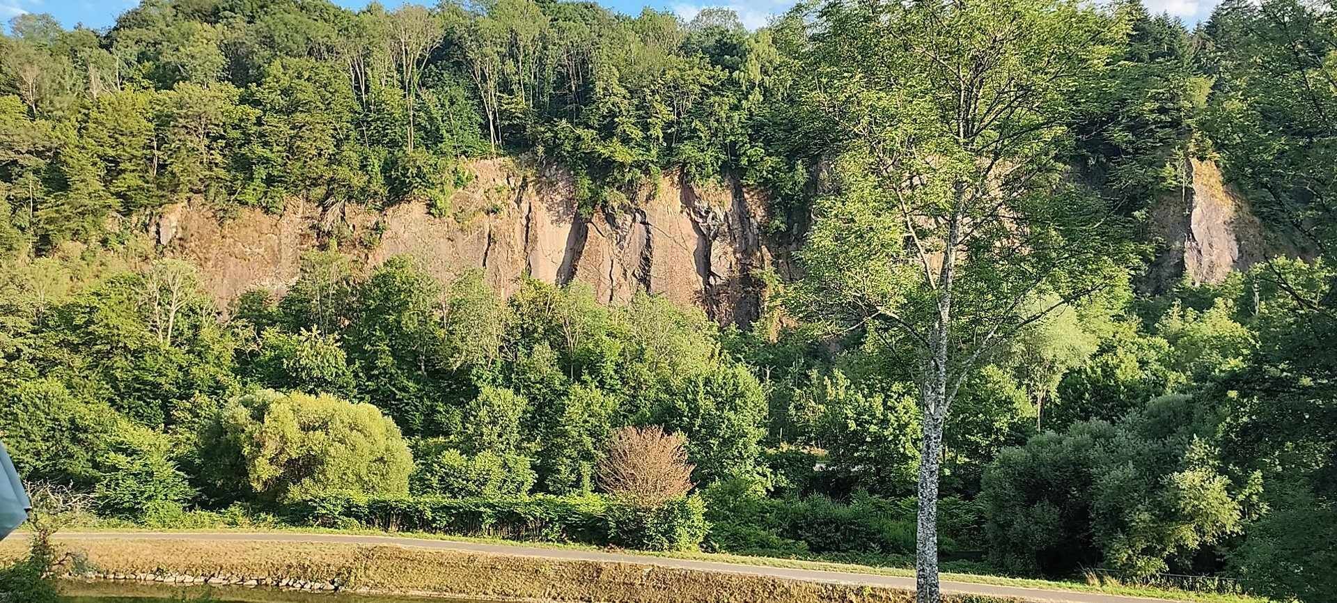 A natural landscape with a river, dense forest, and a rocky cliff.