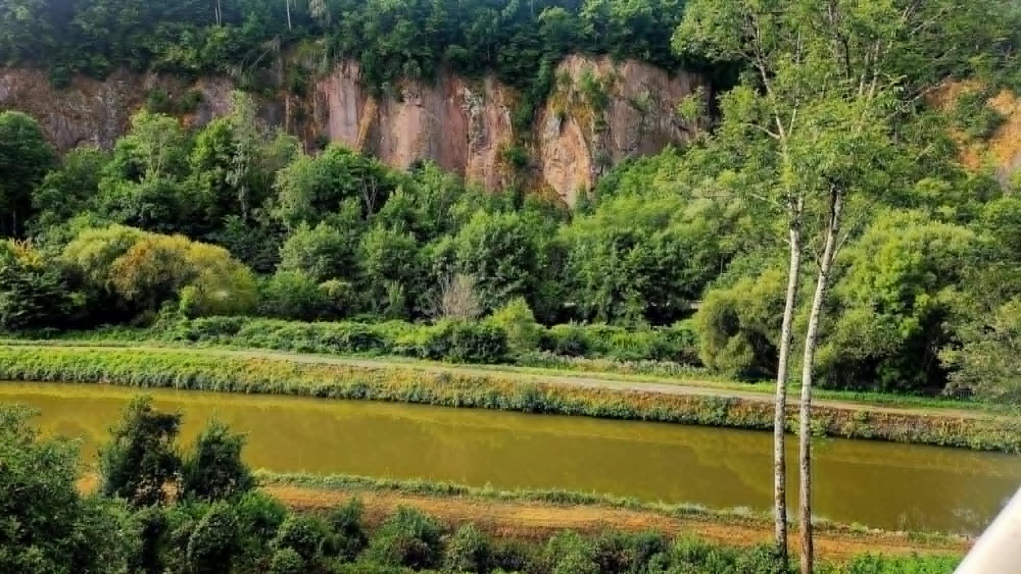 Een rivier met een bebost glooiend landschap op de achtergrond.