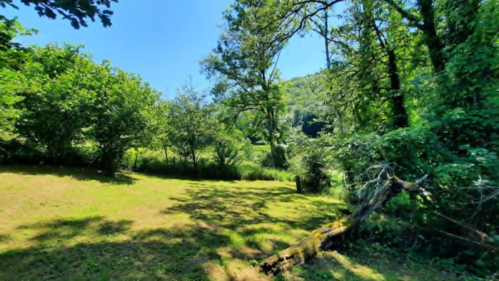 A natural outdoor area with trees and a grassy path.