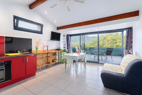 TV, table tennis, stereo - F2 holiday home in a corner of paradise with private pool and Wi-Fi (Céret)