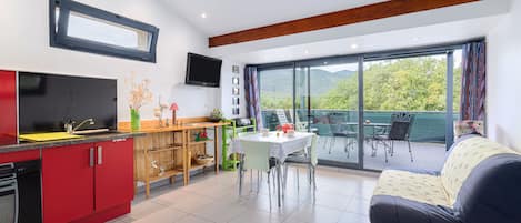 TV, table tennis, stereo