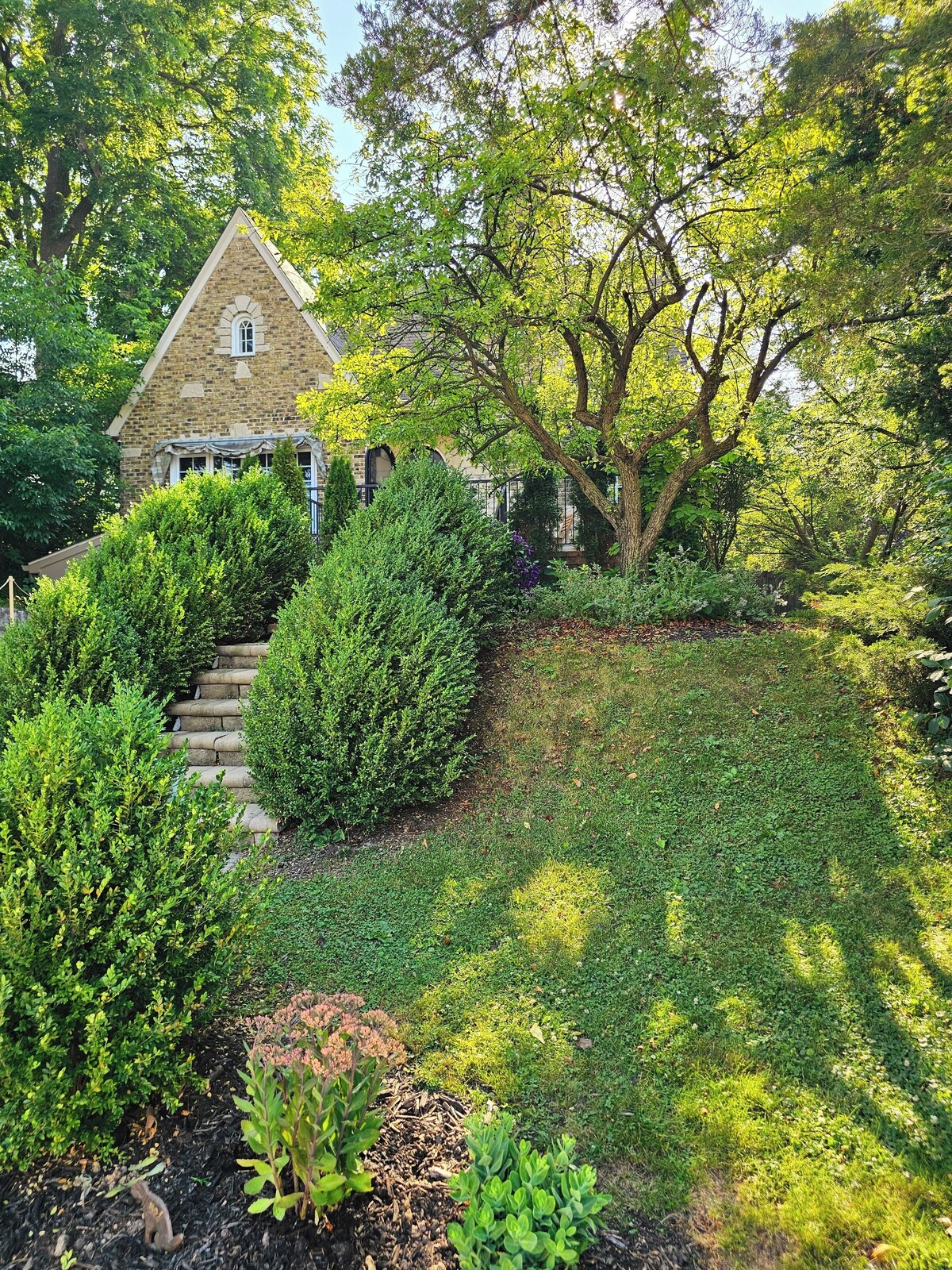 Værtens profilbillede