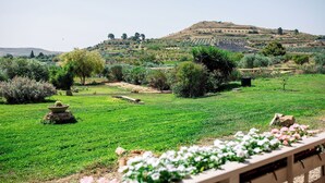A lush green landscape with a variety of plants and trees, a wooden fence, and a distant hill. - Agritourism. Accommodation x 2 people with outdoor kitchen, garden view (Mazzarino)