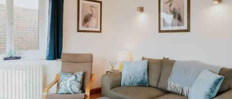 Älytelevisio, kirjoja