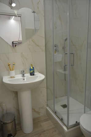 Shower, hair dryer, bidet, towels