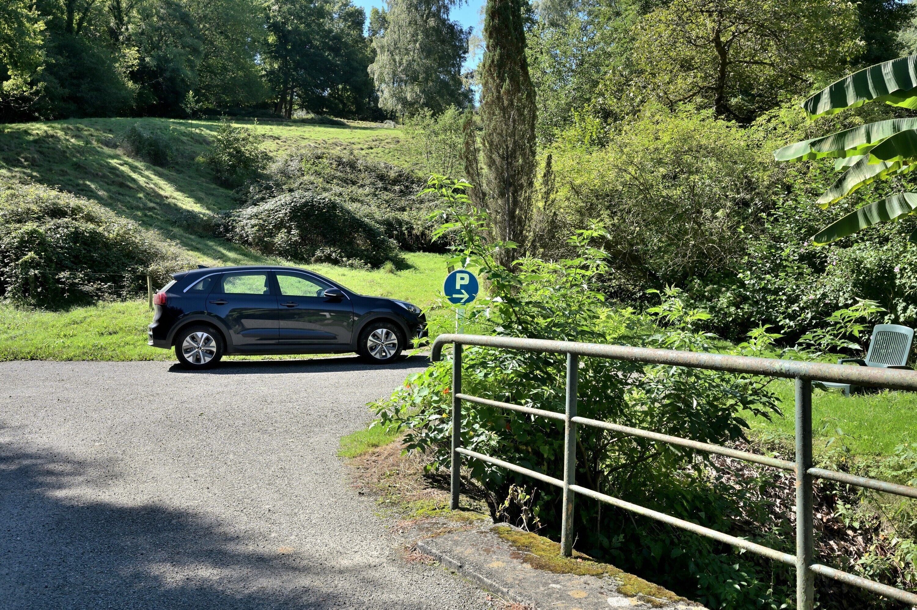 Ein Auto neben einer Straße, mit blauem Parkschild, umgeben von Grünpflanzen und einem Metallgeländer.