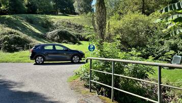 Ein Auto neben einer Straße, mit blauem Parkschild, umgeben von Grünpflanzen und einem Metallgeländer.