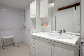 Shower, hair dryer