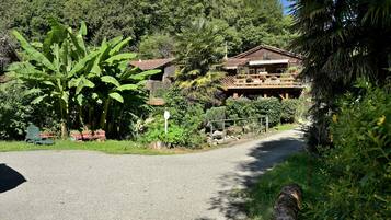 Une maison avec une allée en gravier, entourée d’une végétation luxuriante et d’une colline boisée.