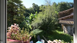 Un jardín con diversas plantas y un patio amueblado con sillas y una mesa.