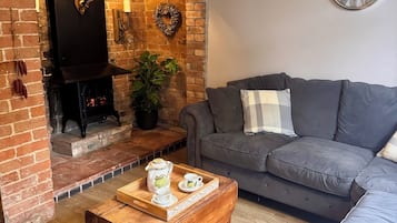 Smart TV, fireplace, books