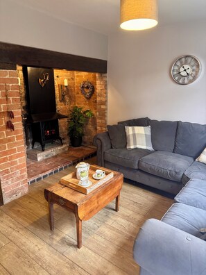 Smart TV, chimenea, libros