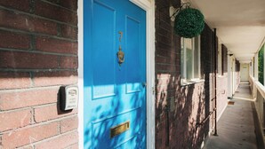 A blue door with a number, a mailbox, and a hanging green plant.