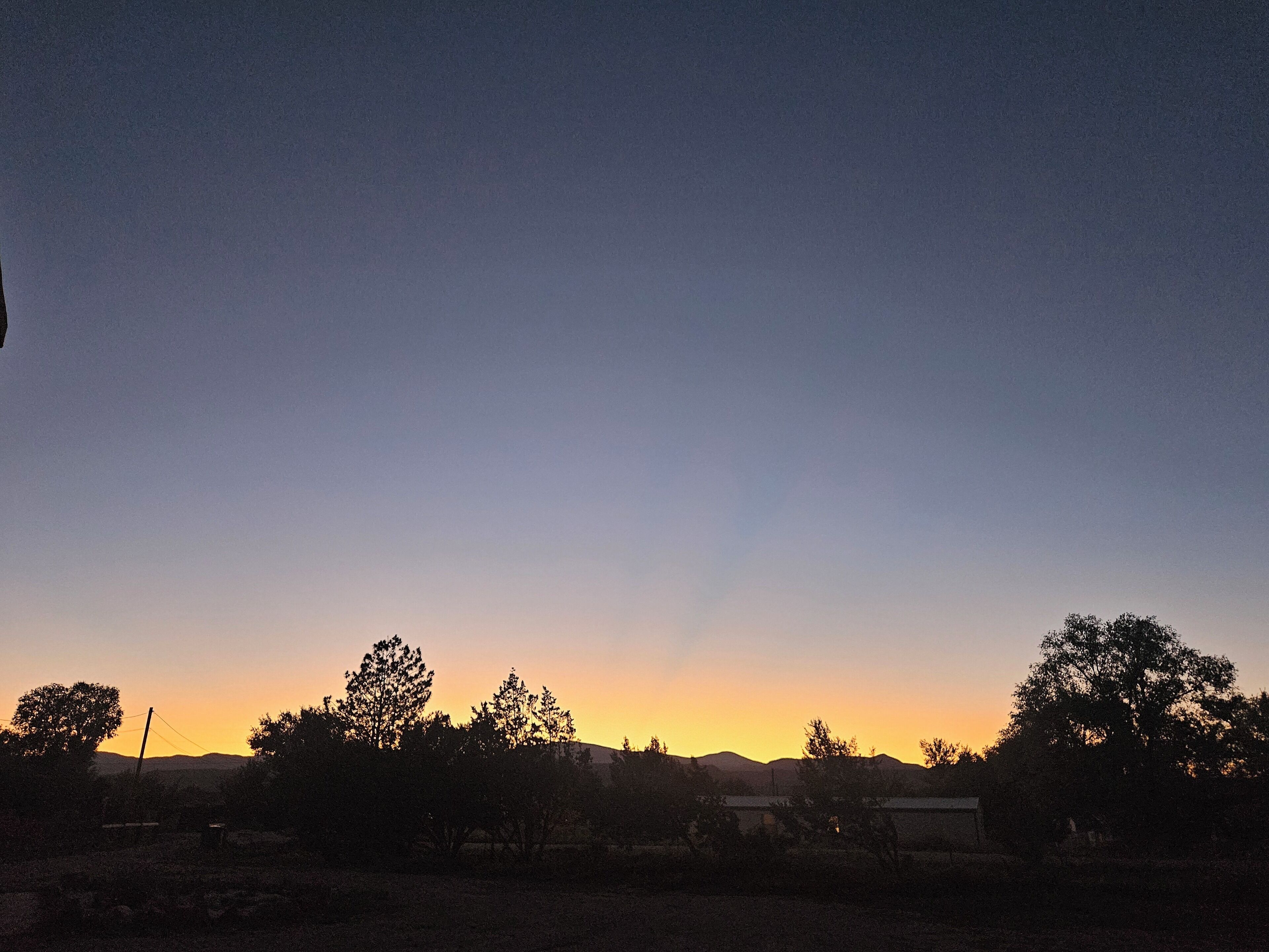 Un paysage avec des arbres et un ciel dégagé.