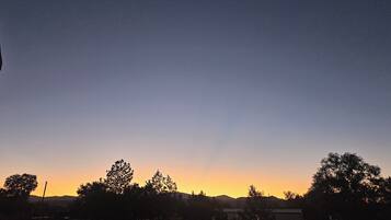 Un paysage avec des arbres et un ciel dégagé.
