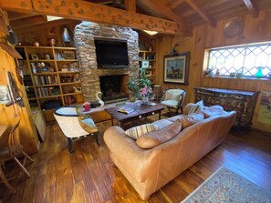 Smart TV, fireplace, books, printers