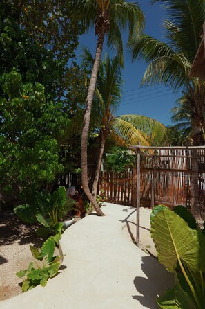 Property grounds - Bungalow with private pool in Holbox. Close to Centro & Beach!! CasaSou#1 (Holbox)
