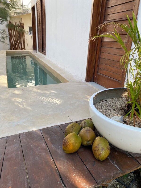 Pool - Bungalow with private pool in Holbox. Close to Centro & Beach!! CasaSou#1 (Holbox)