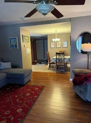 Smart TV, computer monitors