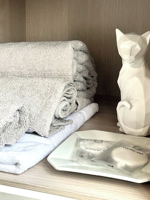 Hair dryer, bidet, towels, soap