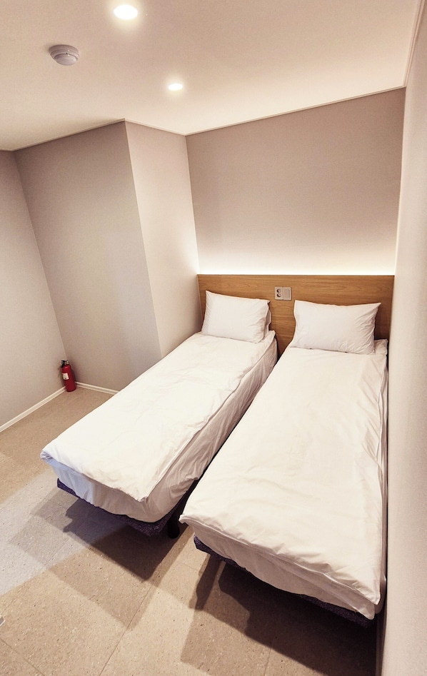 Double or Twin Room, City View