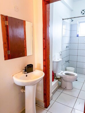 Shower, towels, soap, toilet paper