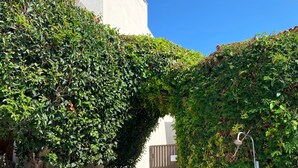 Una escalera de piedra conduce a una entrada con portón, rodeada de abundante vegetación y un cielo azul despejado.
